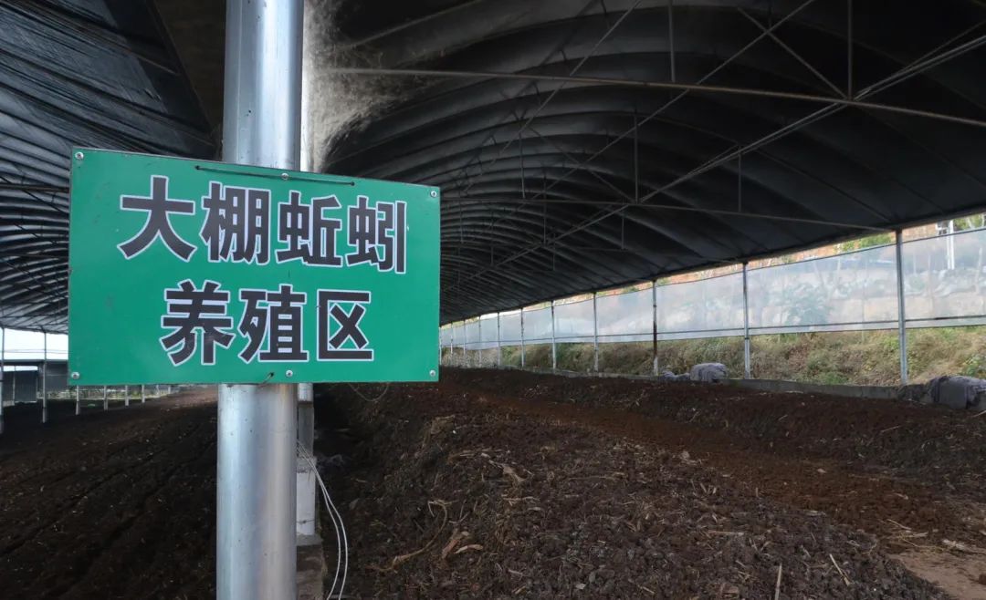 潔匠凈化·的凈工業(yè)除臭劑_的凈工業(yè)除臭劑高效治理蚯蚓養(yǎng)殖惡臭異味大、牛糞味濃