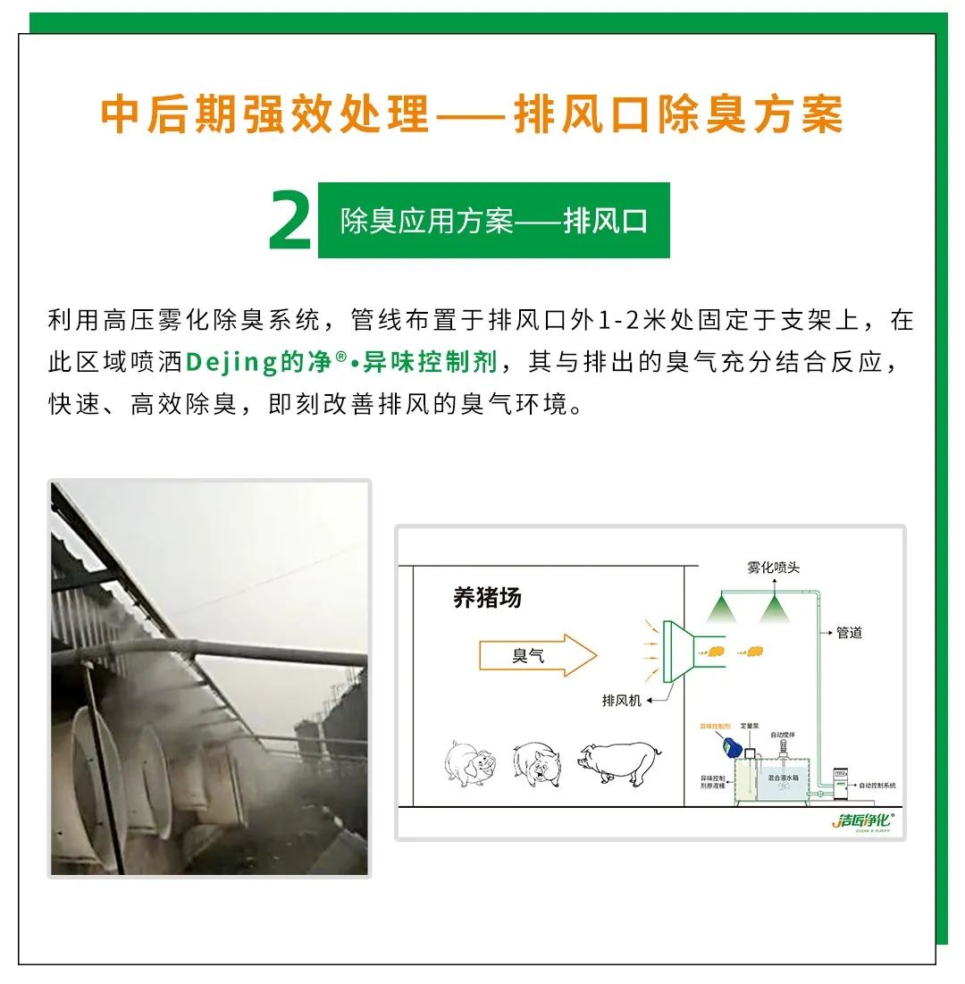 Dejing的凈養(yǎng)殖場(chǎng)除臭劑如何迅速清理養(yǎng)殖場(chǎng)臭味？.jpg