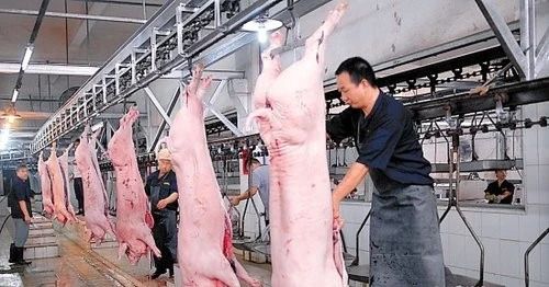 屠宰場臭氣影響周邊環(huán)境？解決辦法在這里.jpg